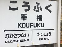 img (336)